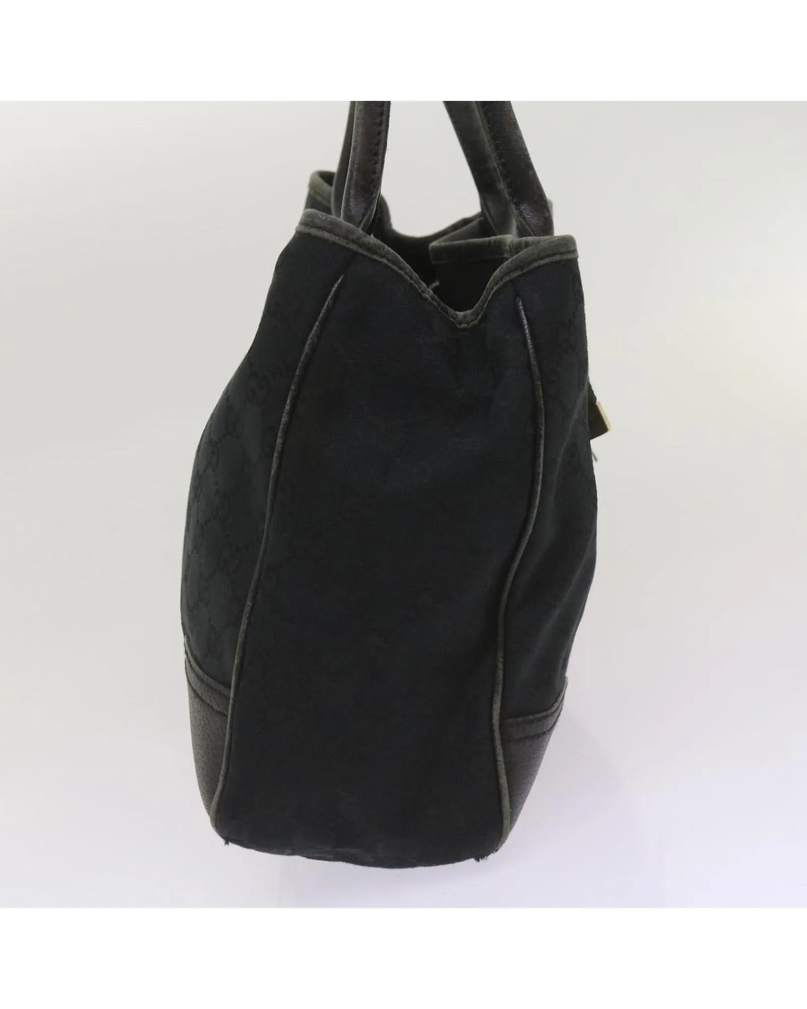 Canvas Tote Bag with Web and Sherry Line Detailing