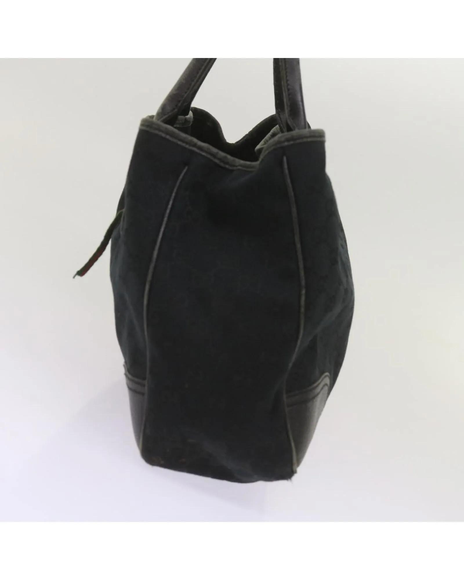 Canvas Tote Bag with Web and Sherry Line Detailing