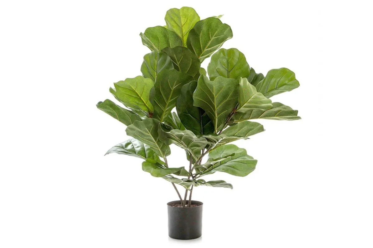 Flora Fiddle Leaf Fig Potted Plant with 36 Leaves 650mm H