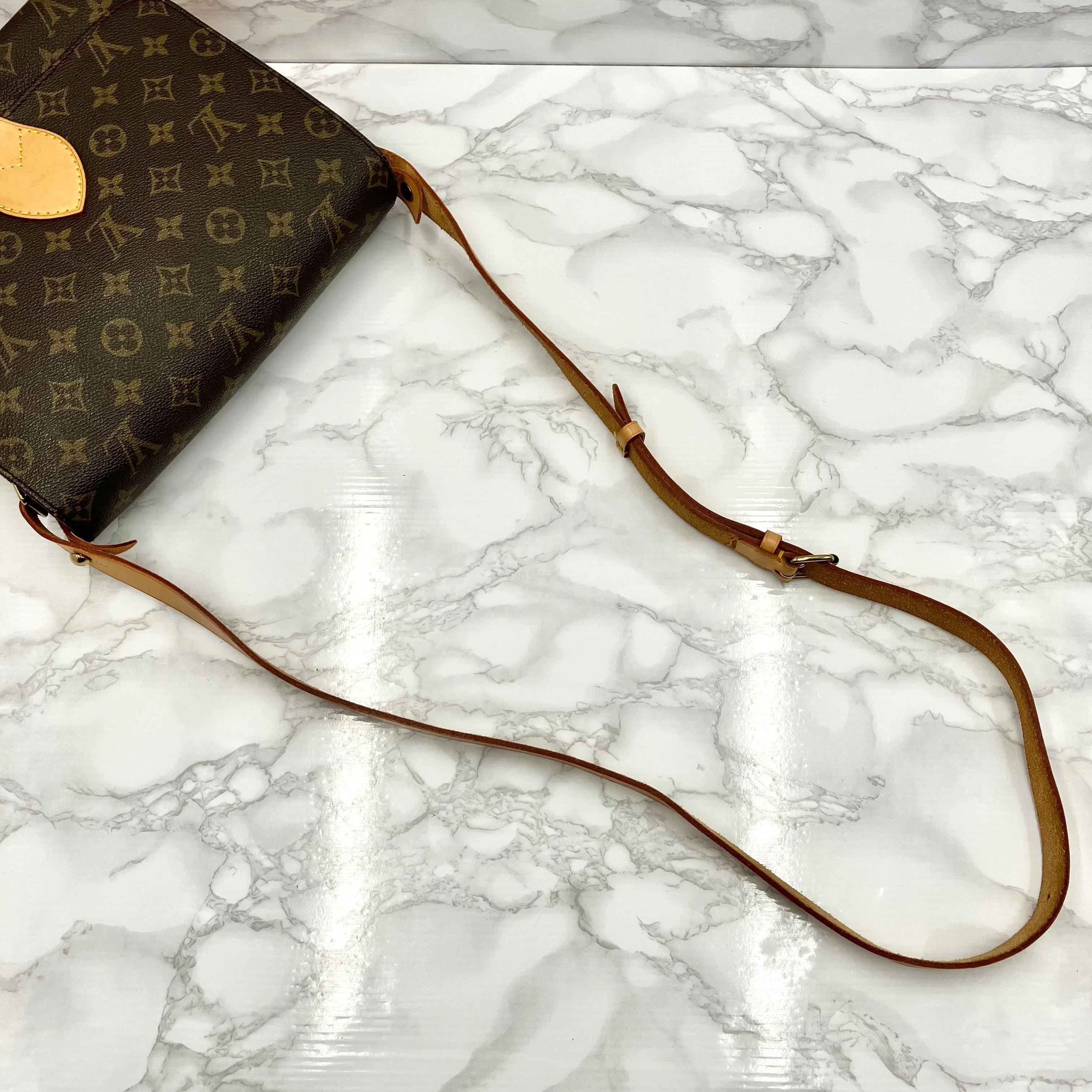 LOUIS VUITTON Monogram Cartouchelle